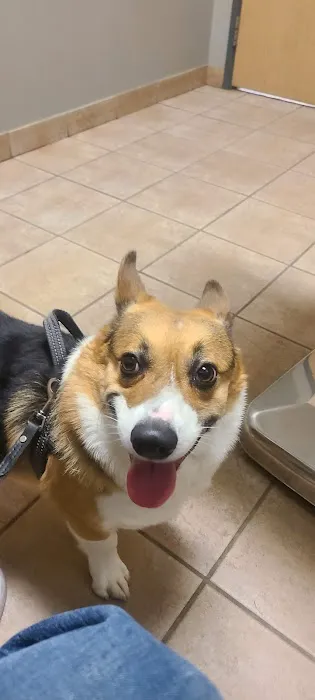 Parkway Vet Picture 9