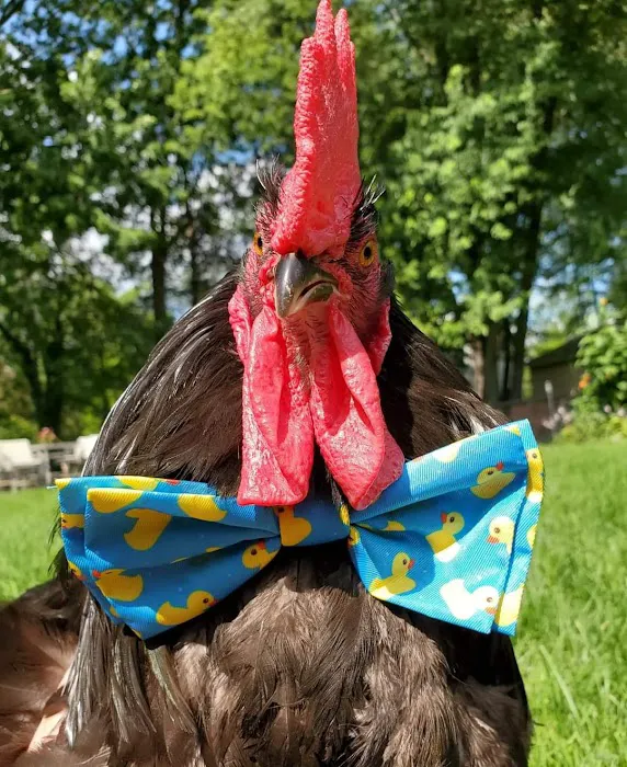 Parkway Vet Picture 10