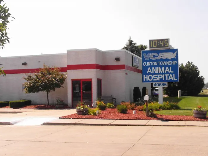 VCA Clinton Township Animal Hospital Picture 3