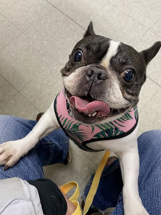 VCA Clinton Township Animal Hospital Picture 1