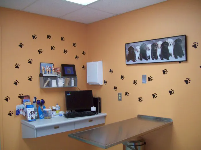 VCA Clinton Township Animal Hospital Picture 8