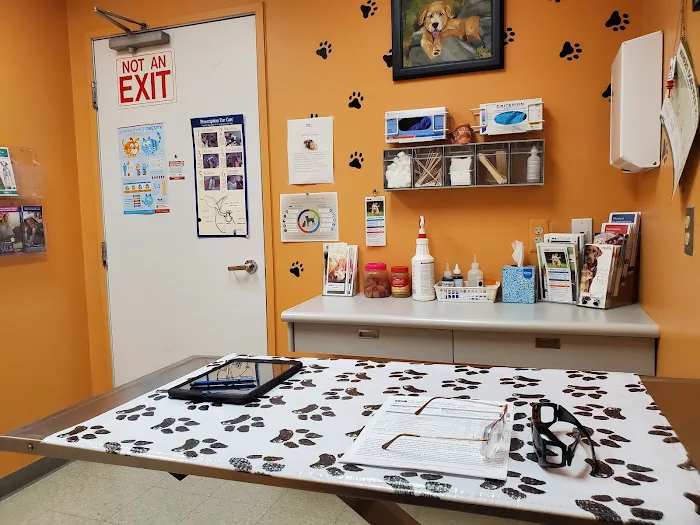 VCA Clinton Township Animal Hospital Picture 6