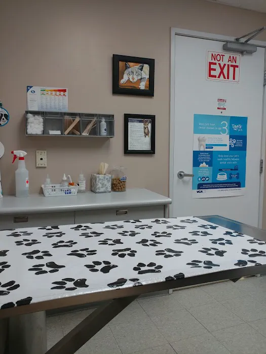 VCA Clinton Township Animal Hospital Picture 9