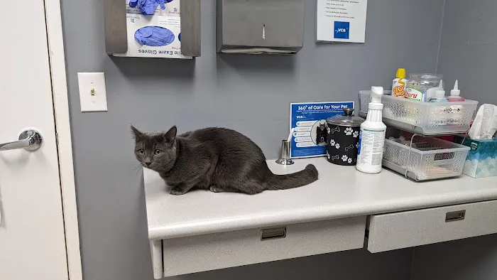 VCA Clinton Township Animal Hospital Picture 10
