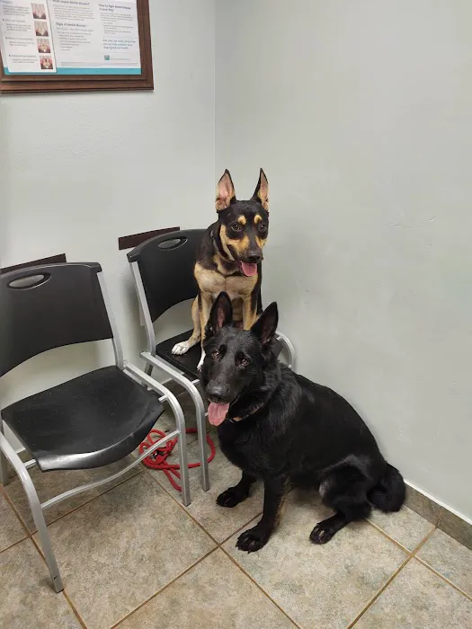 Snider Veterinary Services Picture 3