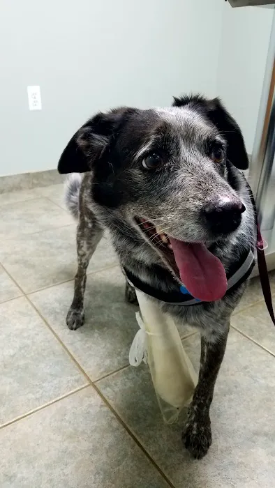 Snider Veterinary Services Picture 10
