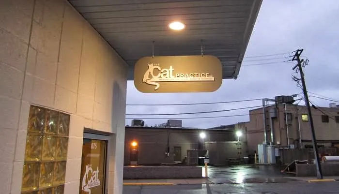 The Cat Practice pc Picture 4