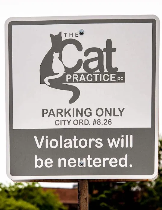 The Cat Practice pc Picture 3