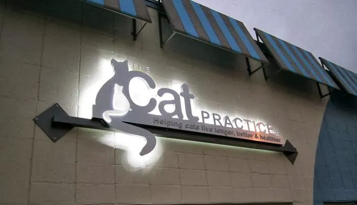 The Cat Practice pc Picture 8