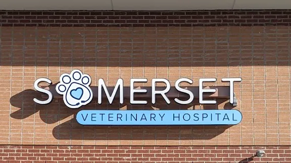 Somerset Veterinary Hospital Picture 2
