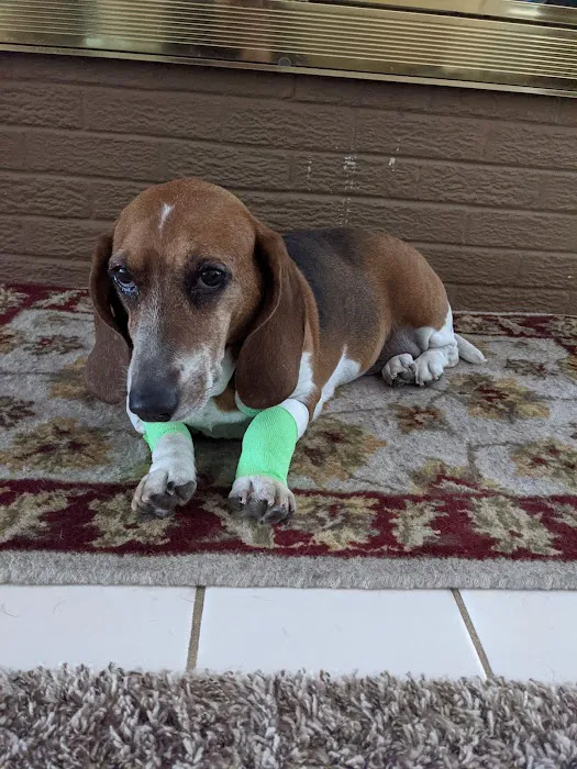 Somerset Veterinary Hospital Picture 9