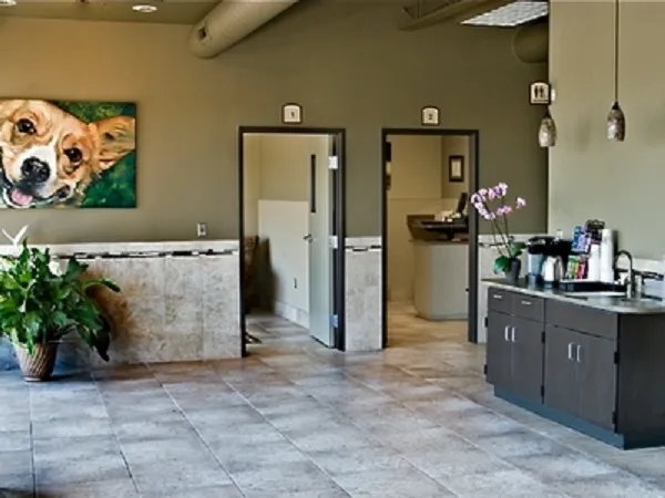 DePorre Veterinary Hospital Picture 8
