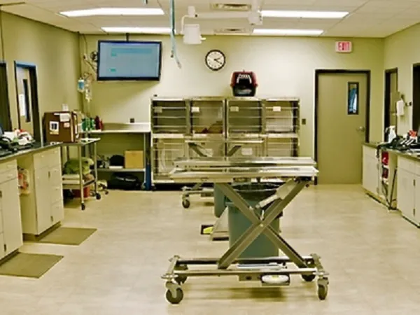 DePorre Veterinary Hospital Picture 10