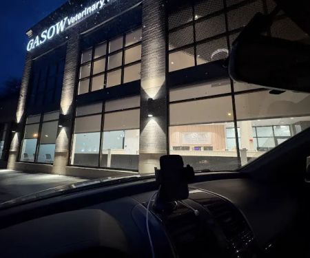 Gasow Veterinary Hospital: Thompson Jocelyn DVM
