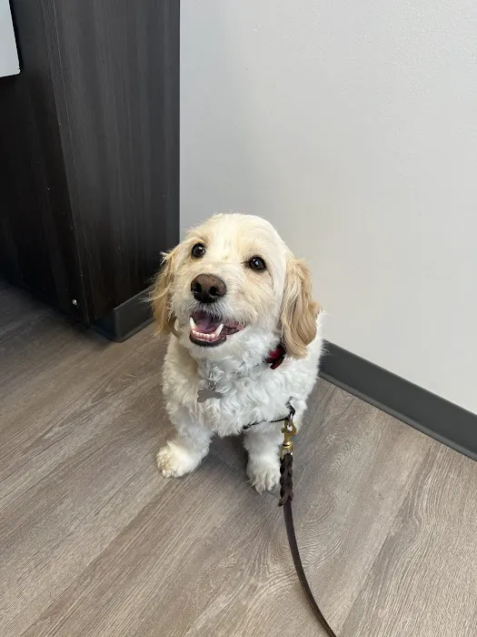 Gasow Veterinary Hospital Picture 1