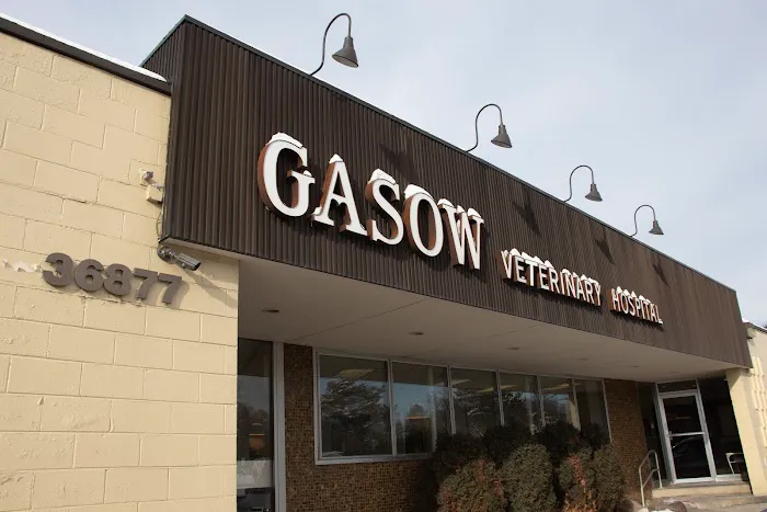 Gasow Veterinary Hospital Picture 3