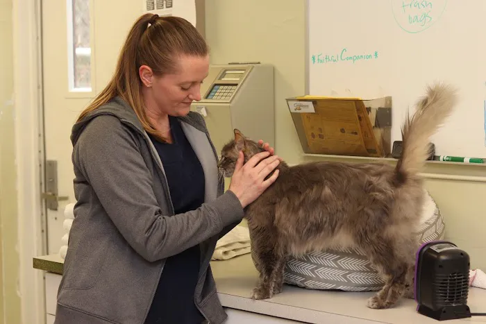 Gasow Veterinary Hospital Picture 6