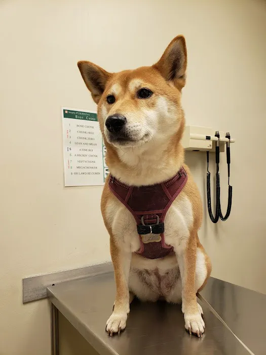 Gasow Veterinary Hospital Picture 9