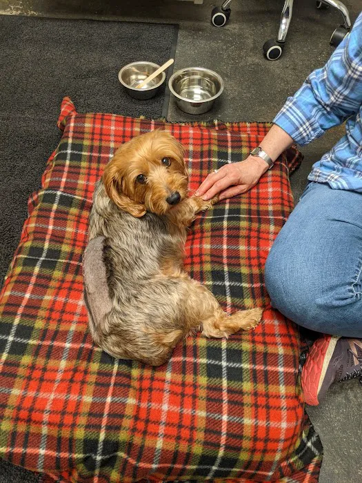 BluePearl Pet Neurology Farmington Picture 2