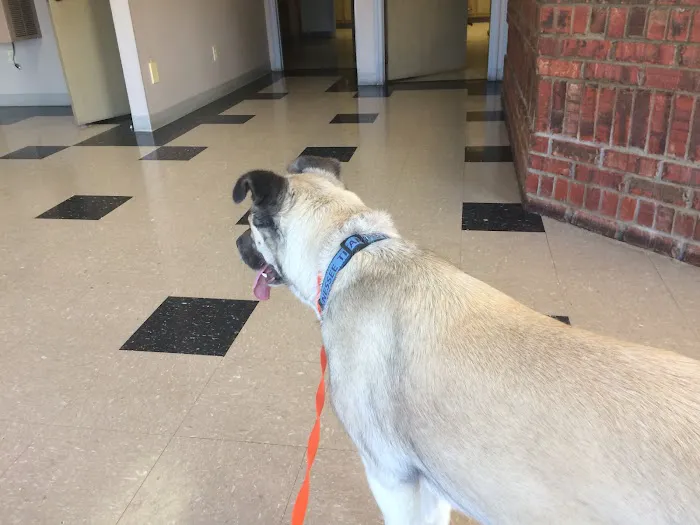 Harpeth Hills Animal Hospital Picture 2