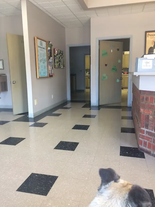 Harpeth Hills Animal Hospital Picture 8