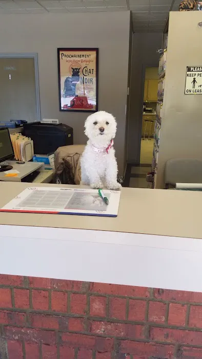 Harpeth Hills Animal Hospital Picture 10