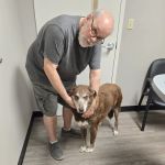 Harpeth Valley Animal Hospital