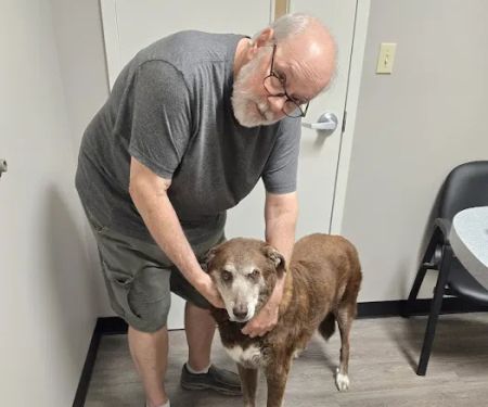 Harpeth Valley Animal Hospital