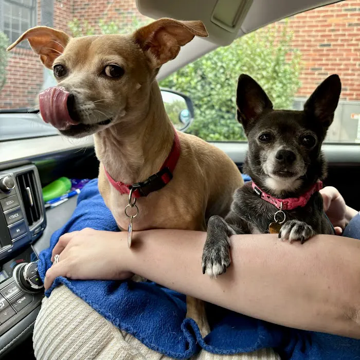 Harpeth Valley Animal Hospital Picture 5