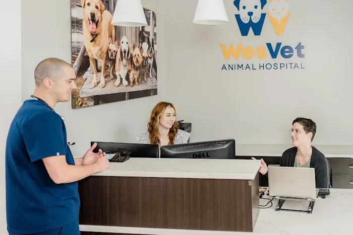 WesVet Animal Hospital Picture 2