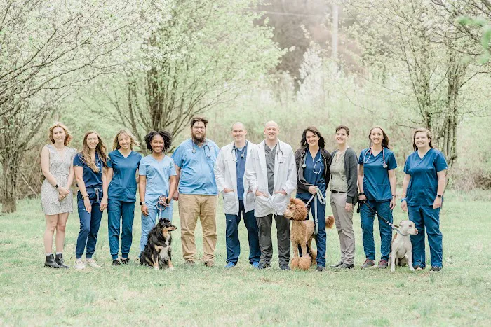 WesVet Animal Hospital Picture 7