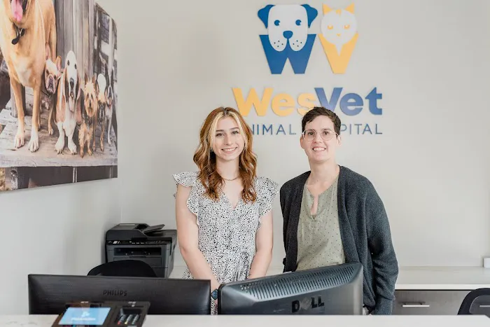 WesVet Animal Hospital Picture 8