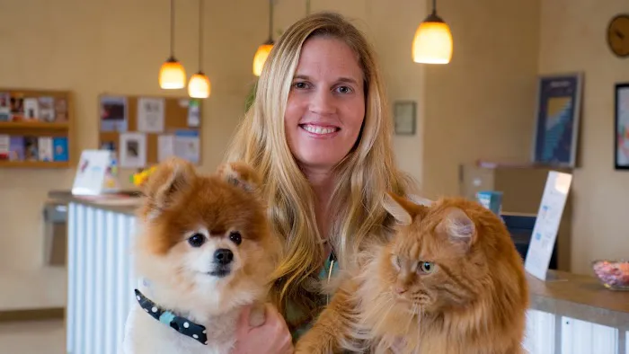 Nippers Corner Pet Medical Center Picture 4