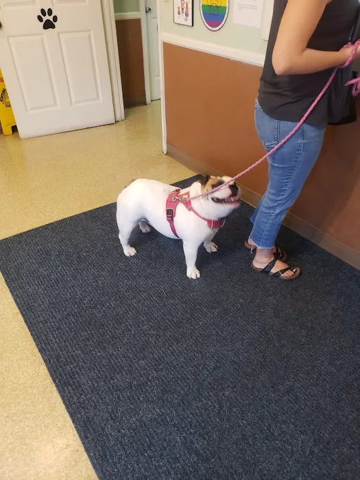 Indian Lake Animal Clinic Picture 4