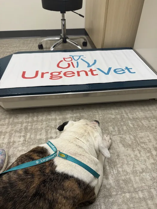 UrgentVet Picture 1