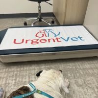 UrgentVet ico