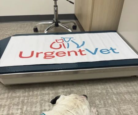 UrgentVet