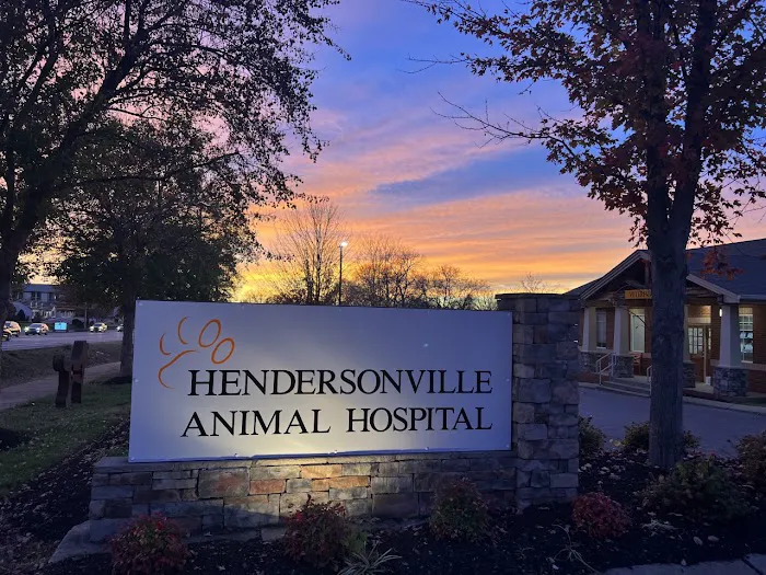Hendersonville Animal Hospital Picture 4