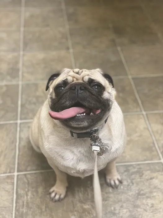 Hendersonville Animal Hospital Picture 7