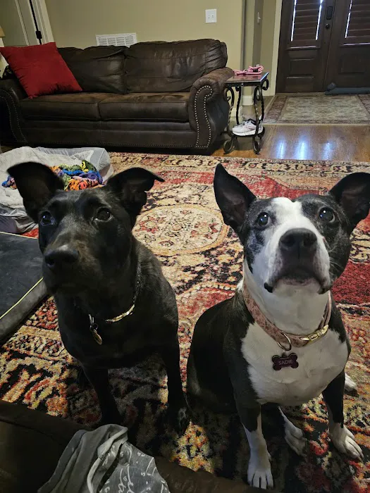 Hendersonville Animal Hospital Picture 10