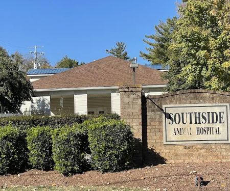 Southside Animal Hospital