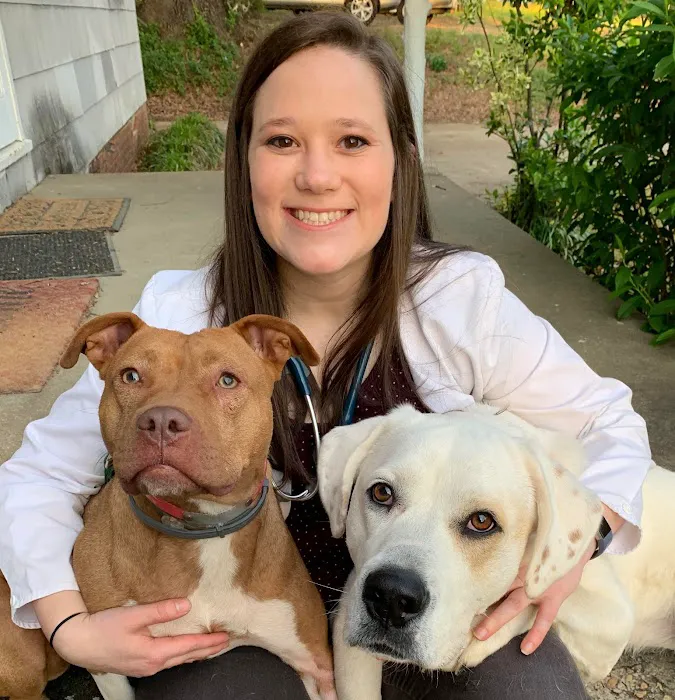 Southside Animal Hospital Picture 8