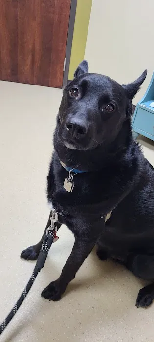 Countryside Animal Hospital Pl Picture 10