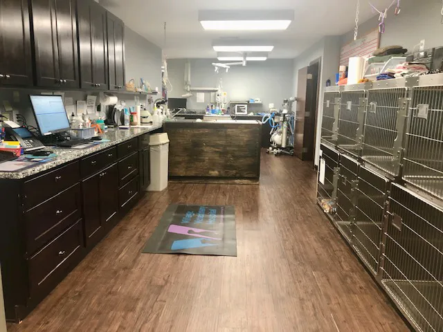 Village Veterinary Hospital Picture 6
