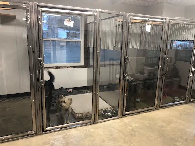 Village Veterinary Hospital Picture 9