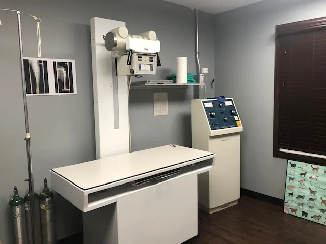 Village Veterinary Hospital Picture 8