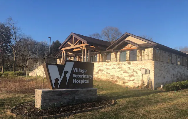 Village Veterinary Hospital Picture 5