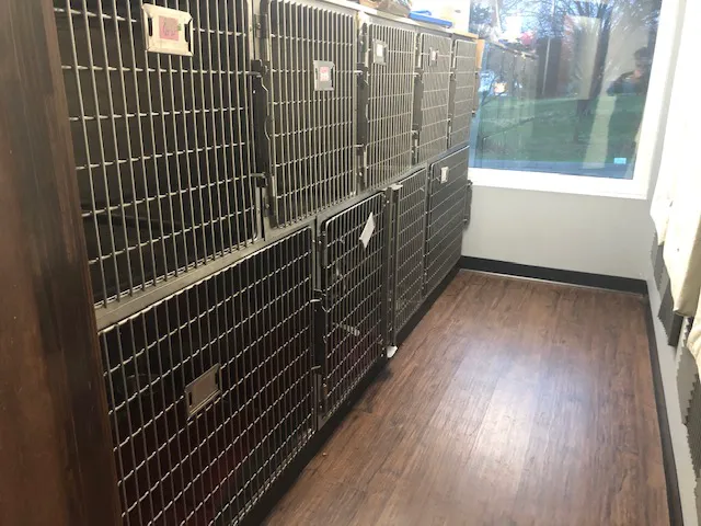 Village Veterinary Hospital Picture 10