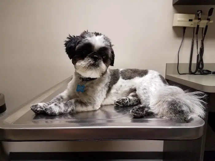 VCA Animal Care Center of Mt. Juliet Picture 5