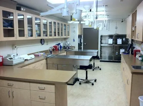 VCA Animal Care Center of Mt. Juliet Picture 6